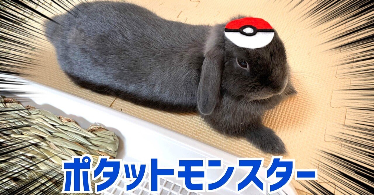 希少　ポケモン赤　初版　刻印22 ポケットモンスター 赤 初期ロット 22｜Yahoo!フリマ（旧PayPay