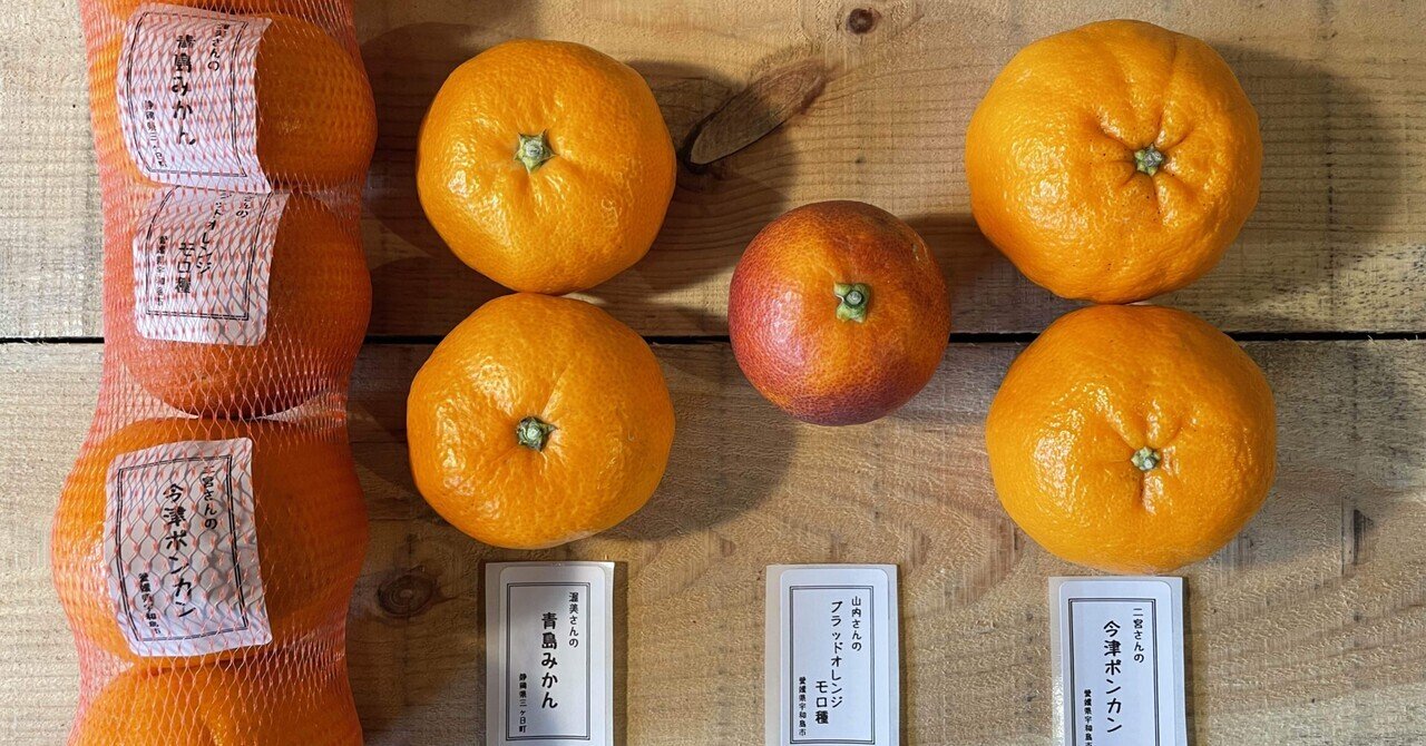 柑橘】品種と農家さんの紹介🍊|hachi 柑橘】品種と農家さんの紹介🍊|hachi