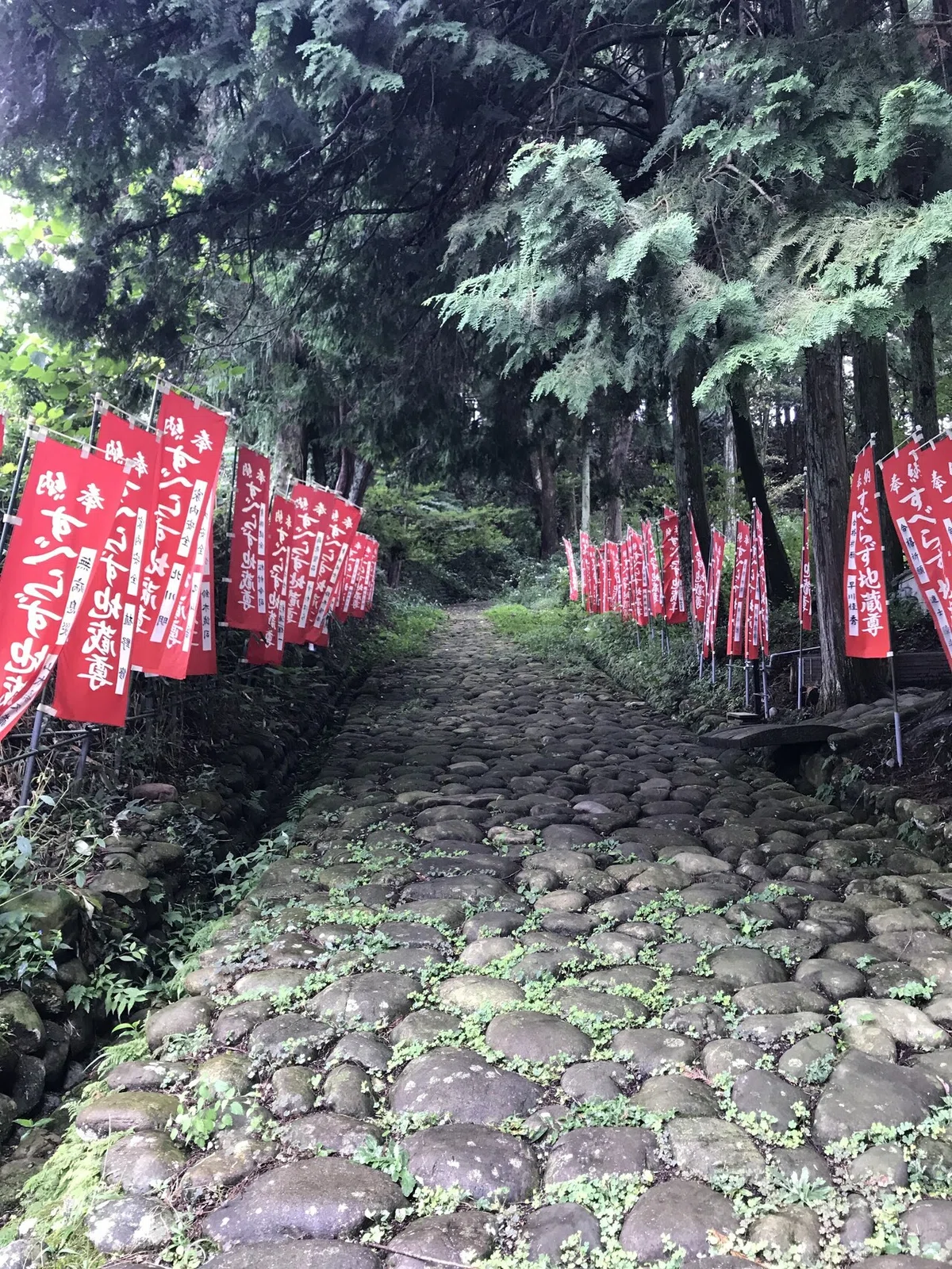 画像6