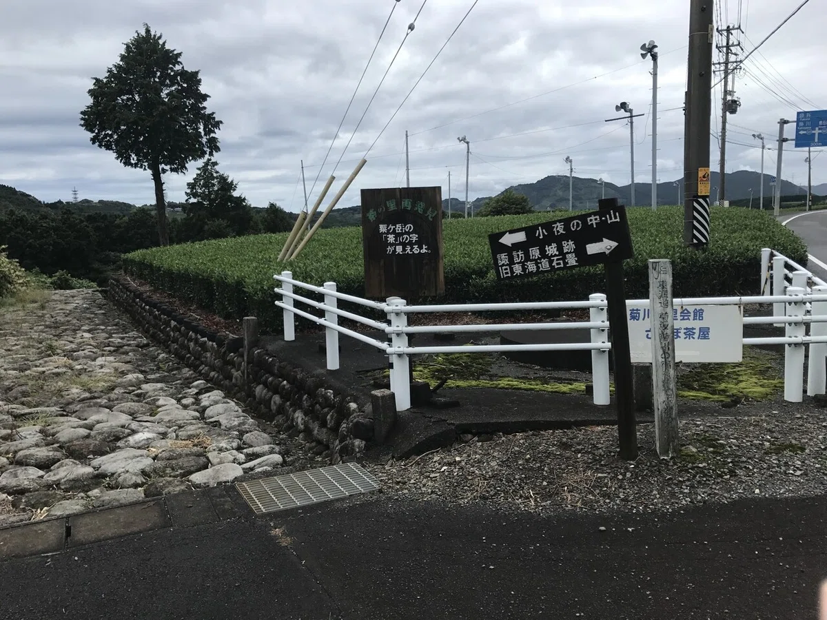 画像8