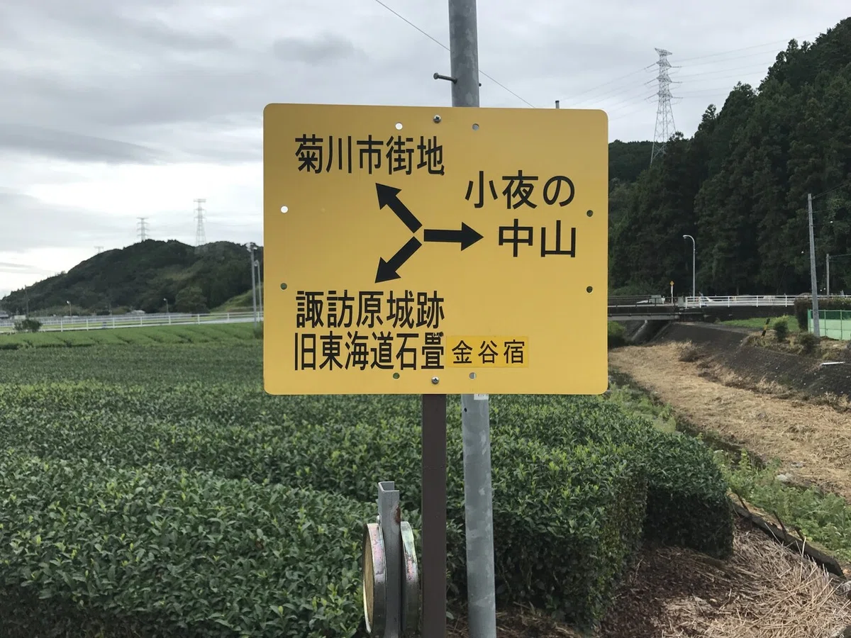 画像11