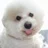Hello−bye