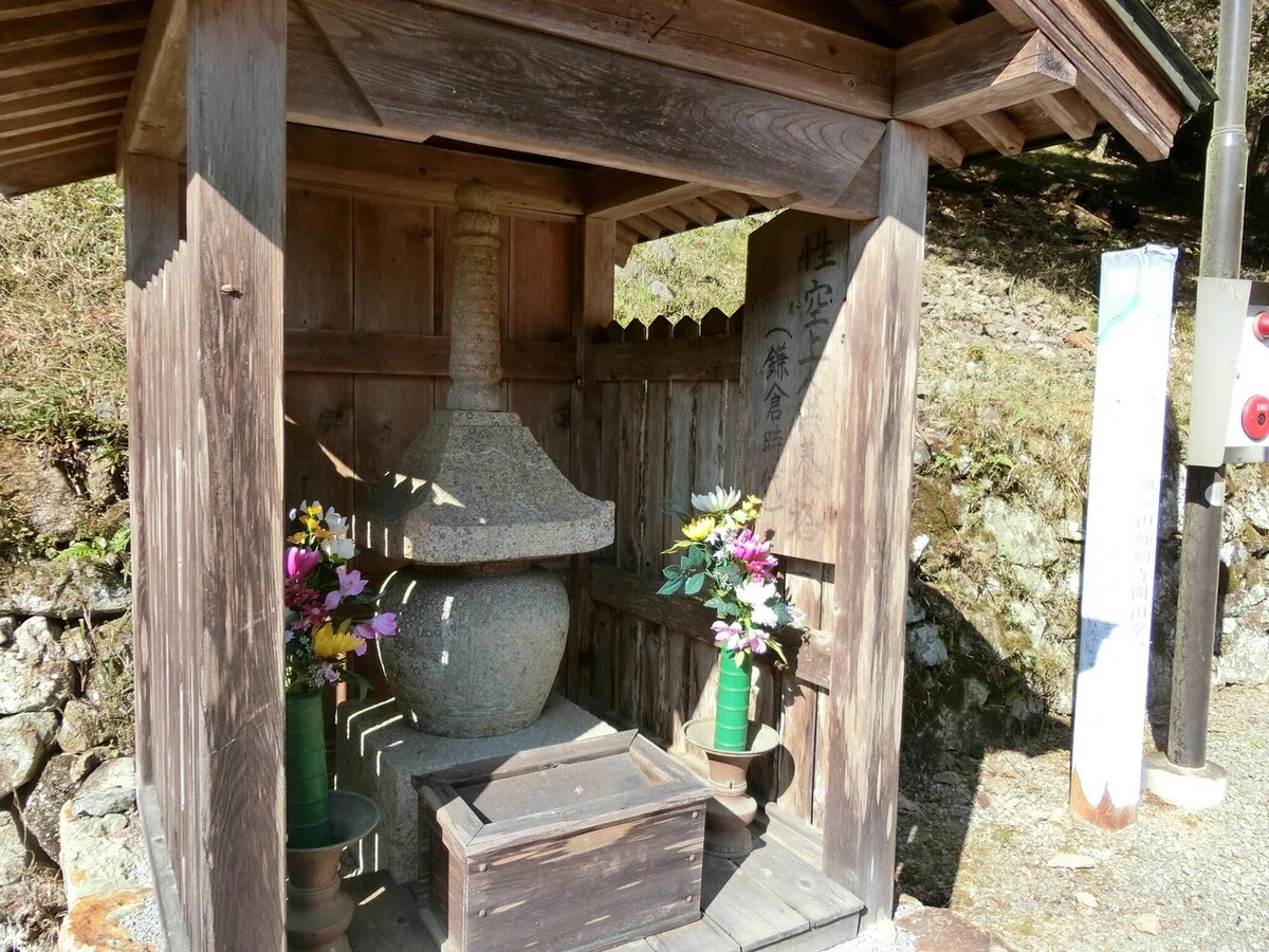 画像8