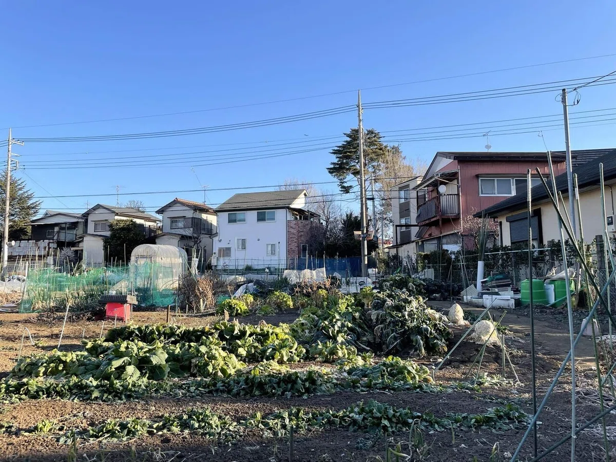 画像9