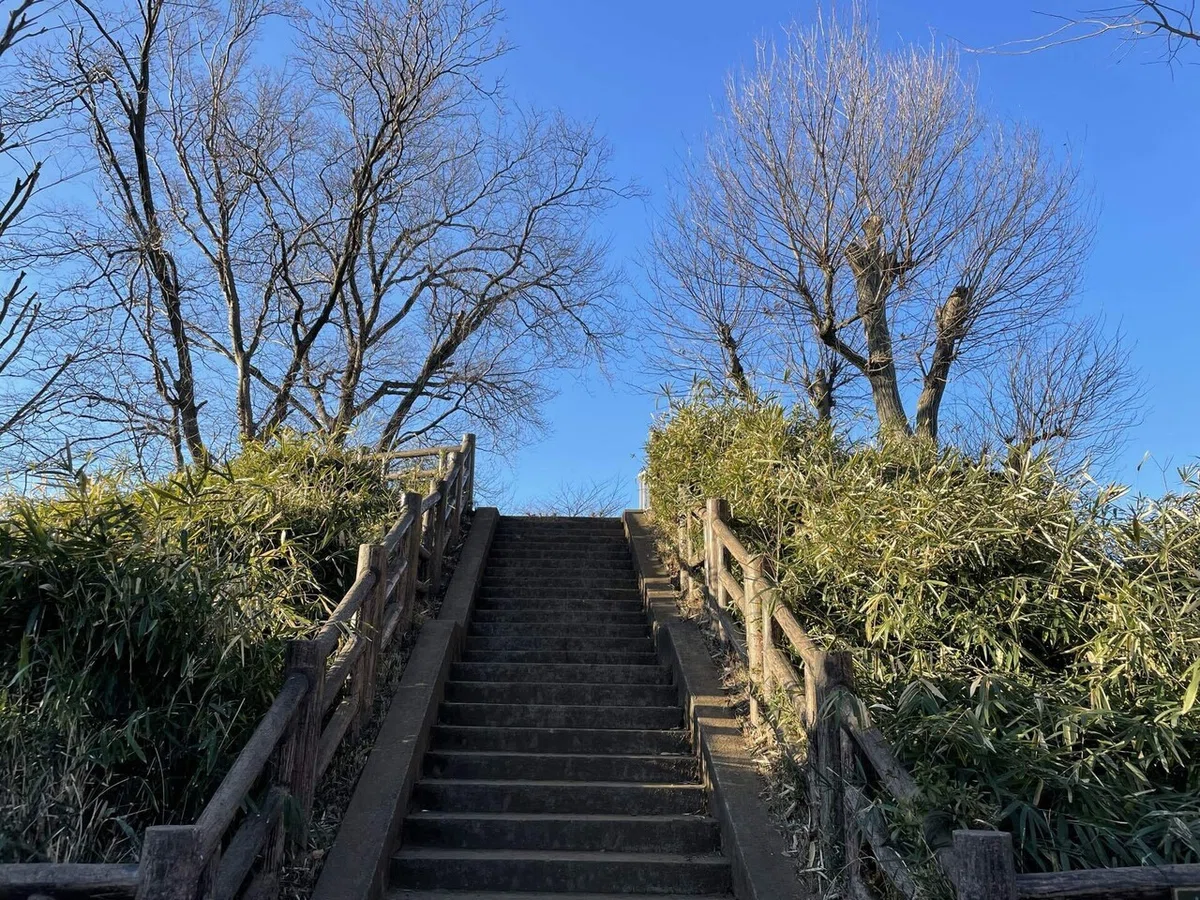 画像11