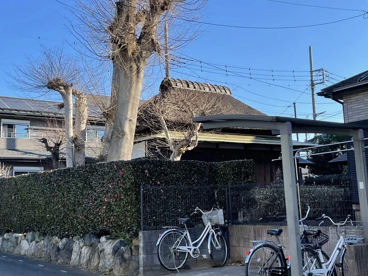 画像37