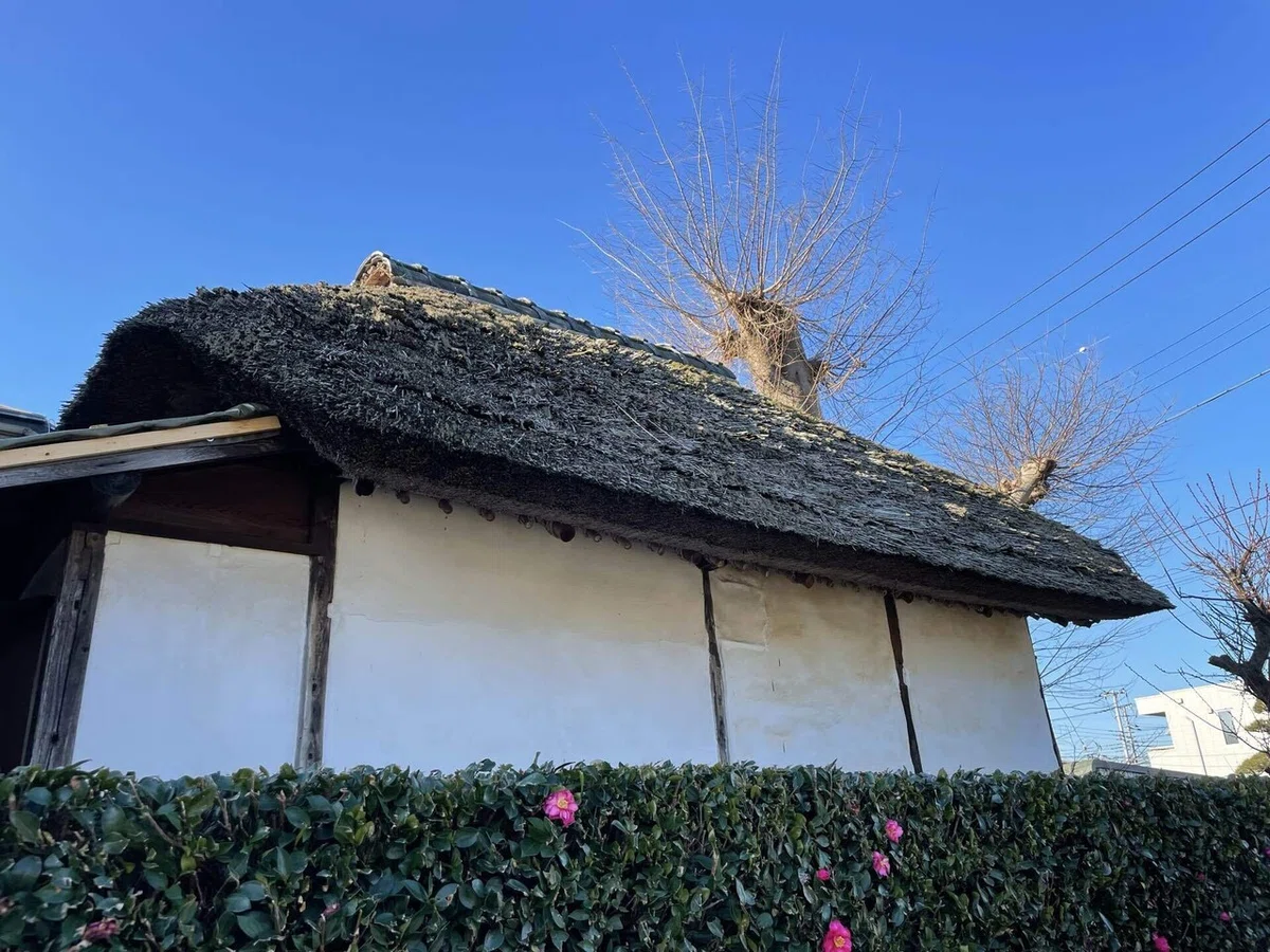 画像40