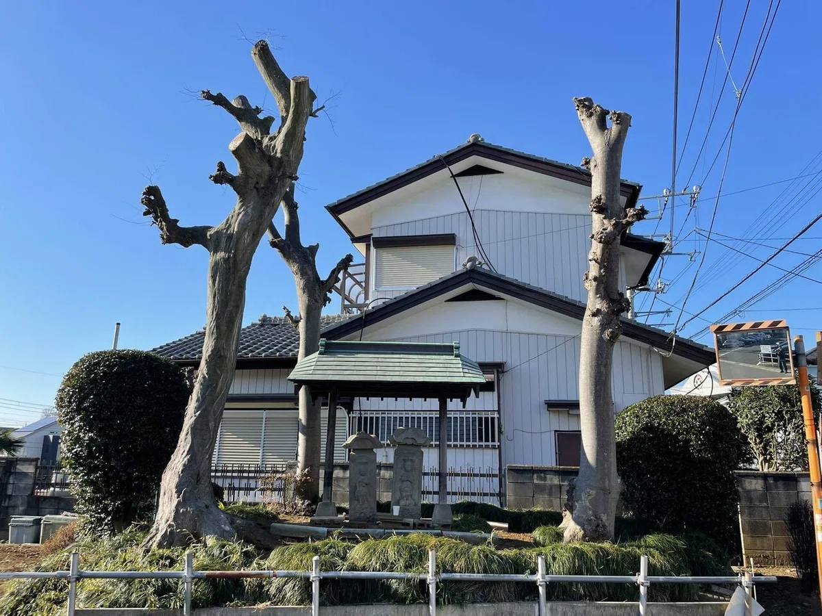 画像47