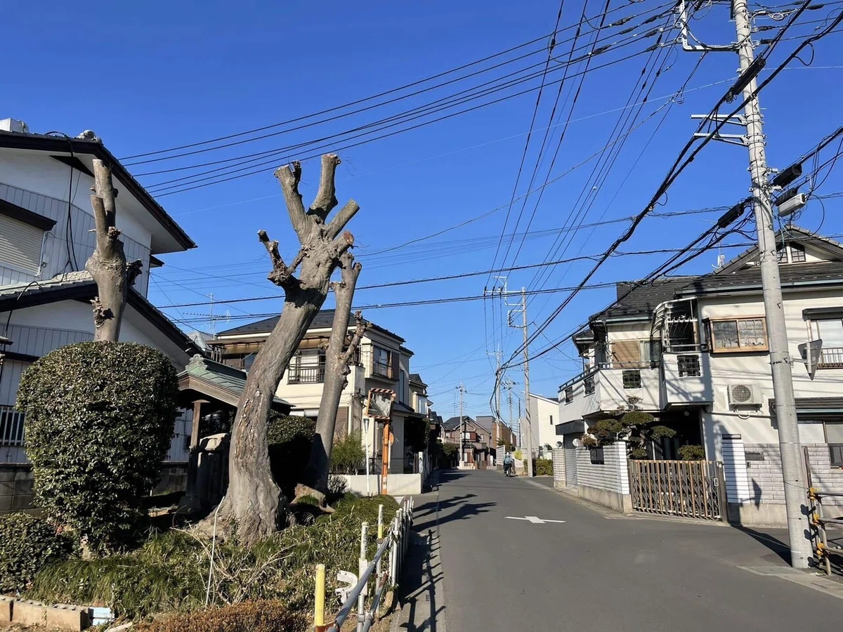画像48