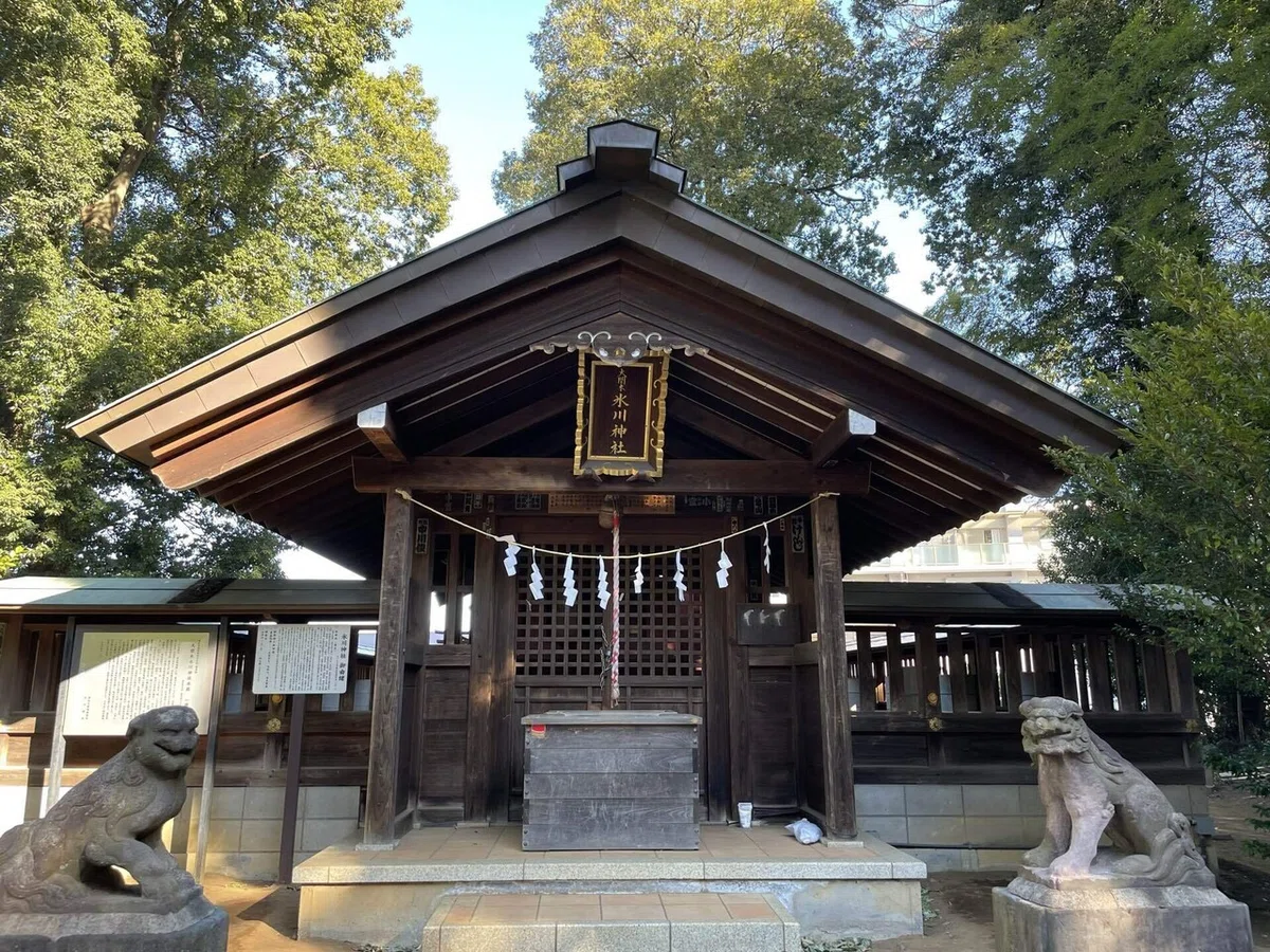 画像55