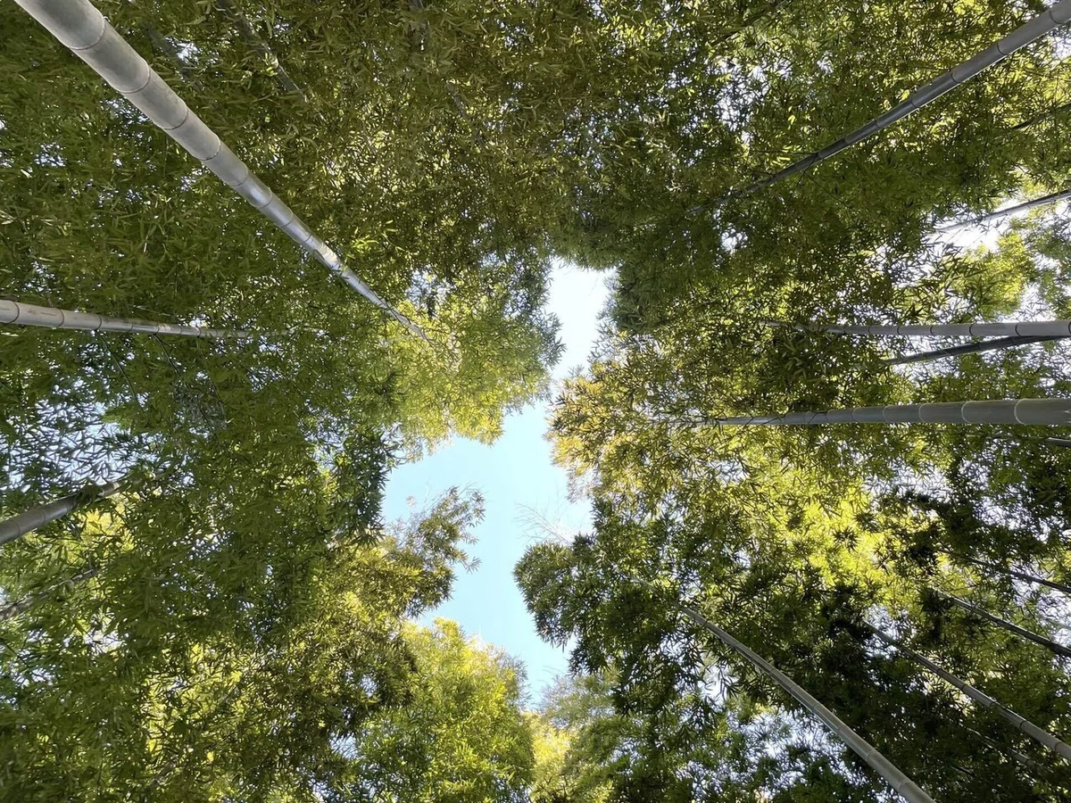 画像67