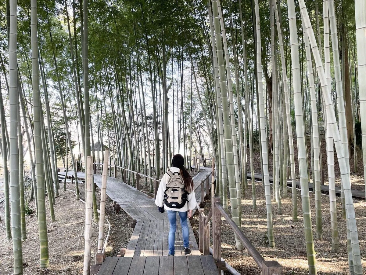画像68