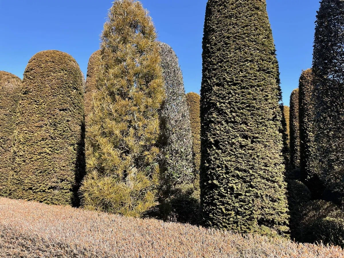 画像109