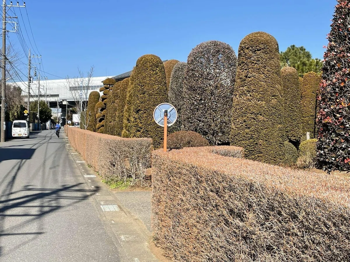 画像111