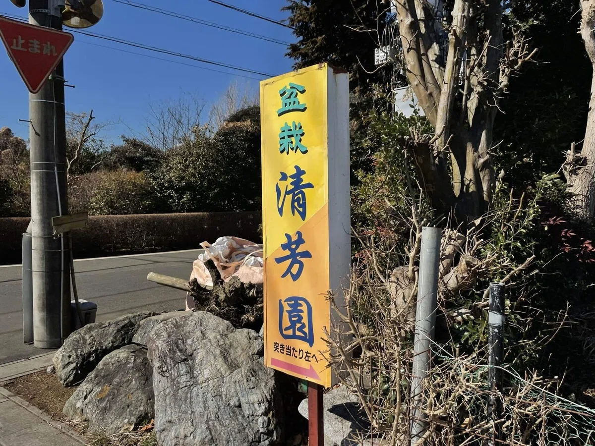 画像114