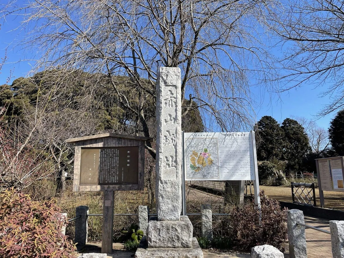 画像116