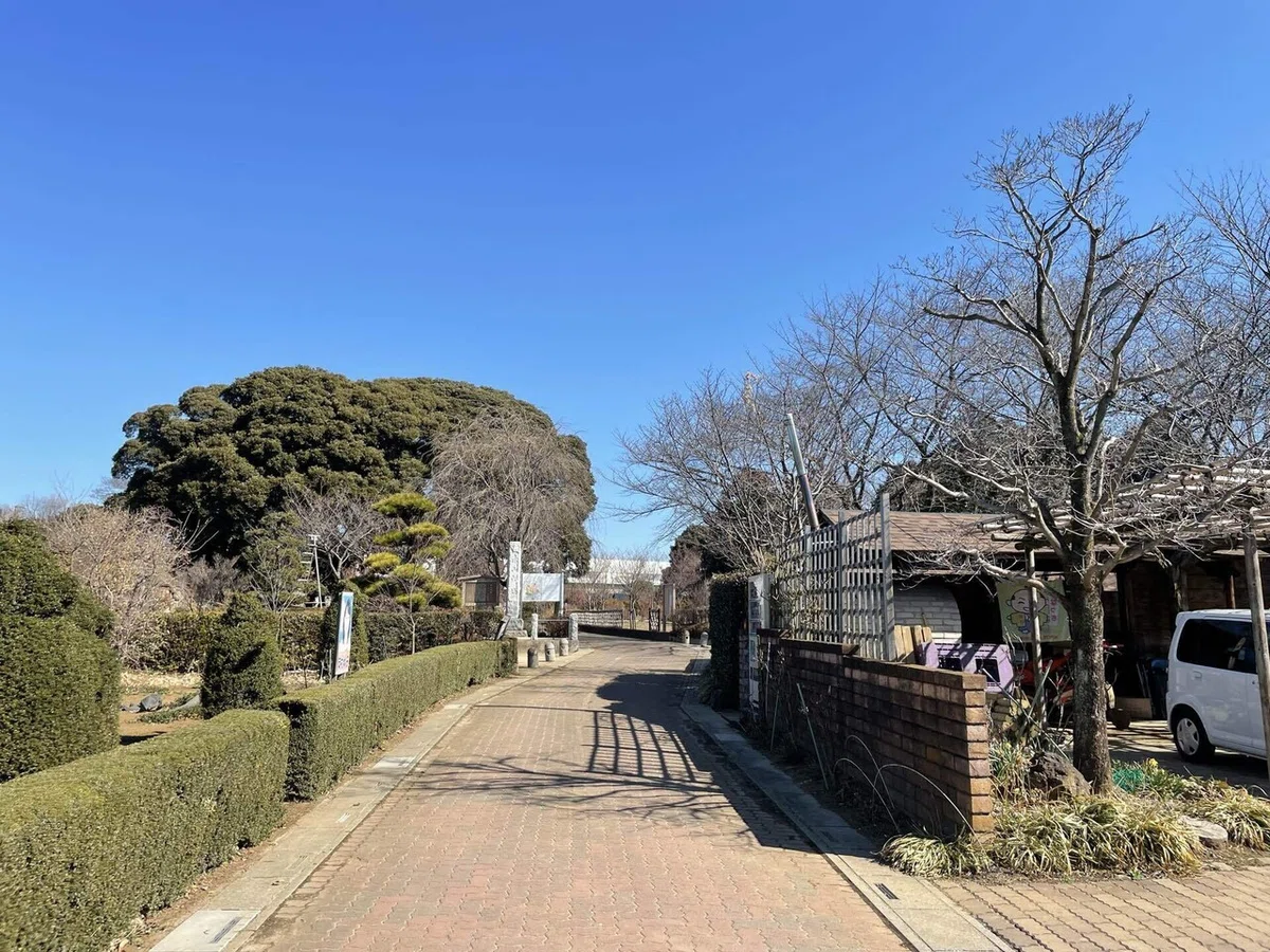 画像119