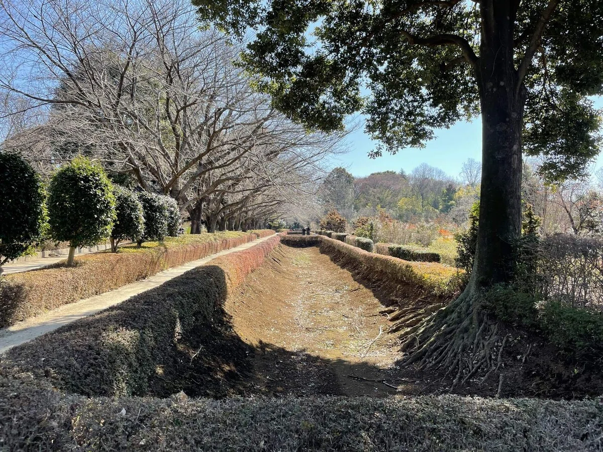 画像120