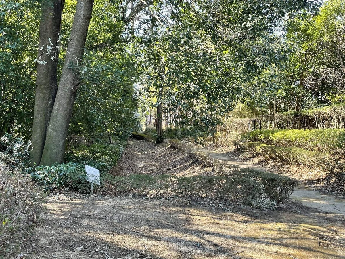 画像125