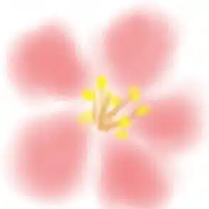 飛んでる花