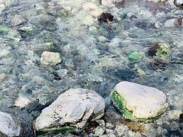 画像13