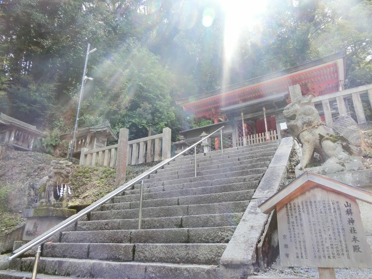 画像9