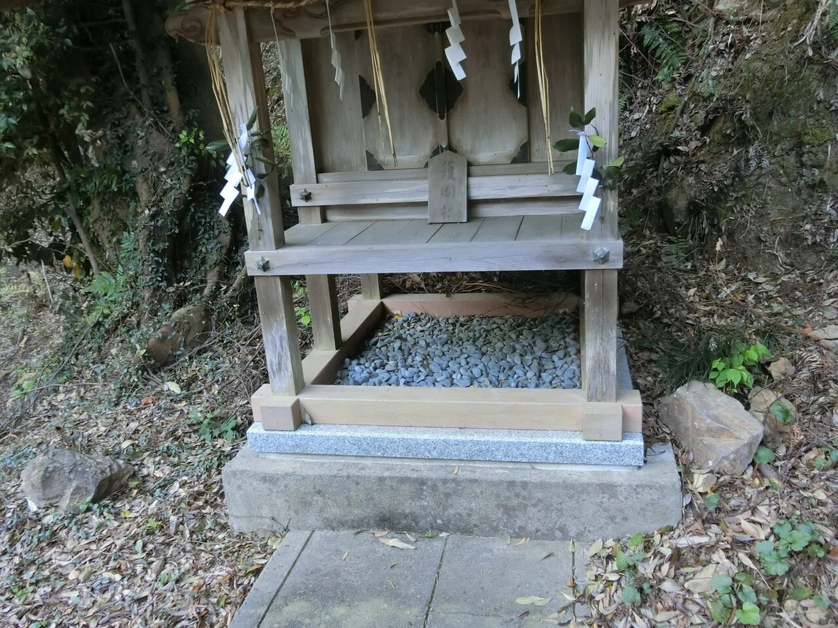 画像14