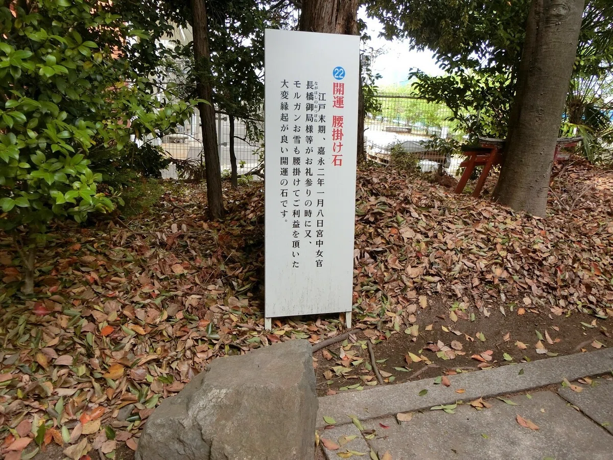 画像9