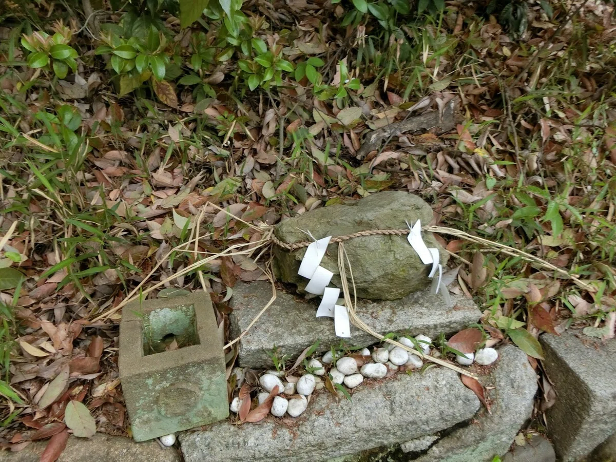 画像11