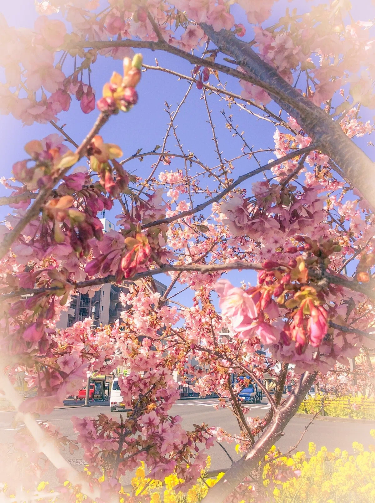 画像10