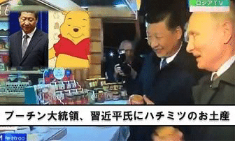 画像を拡大表示