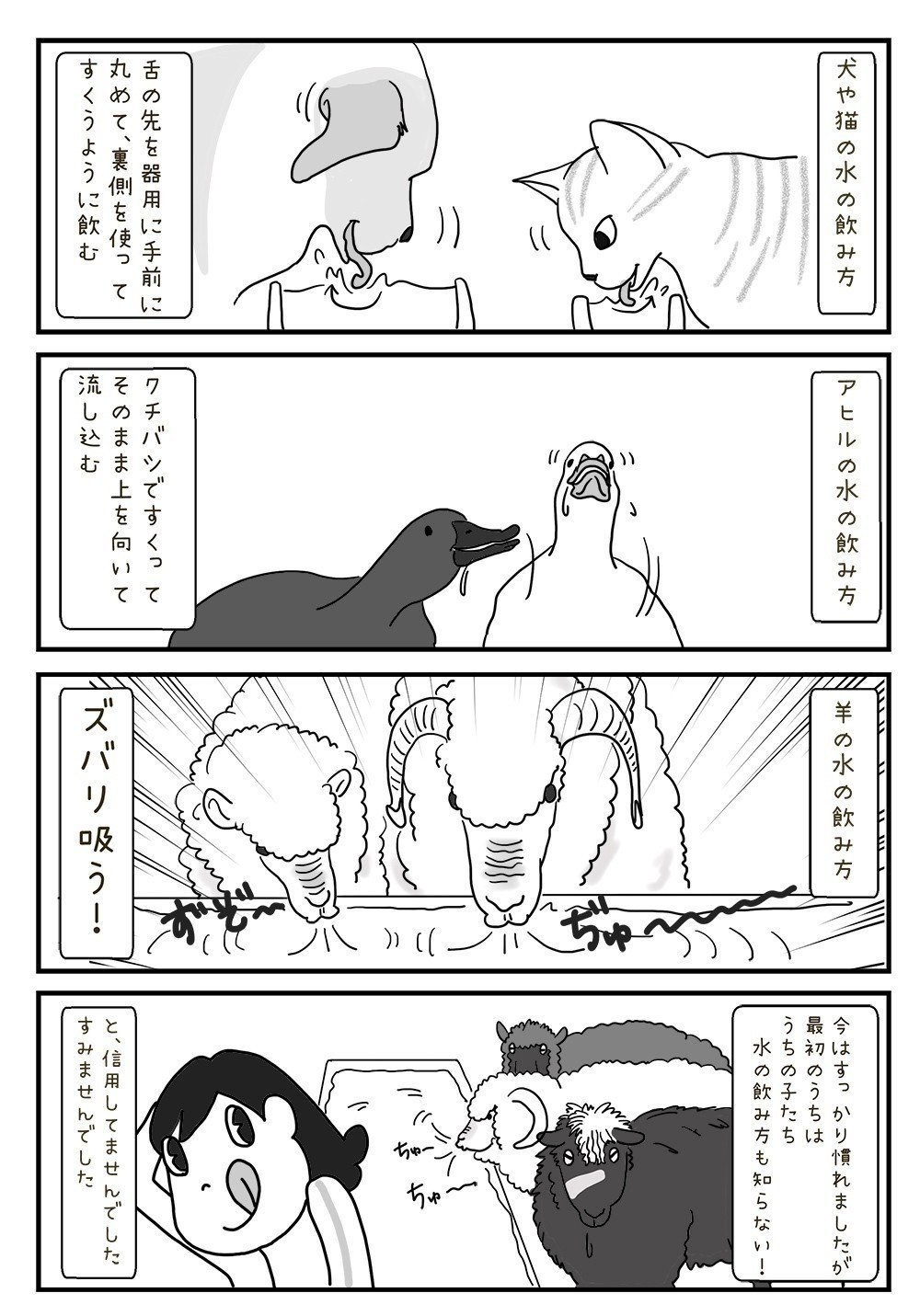 ファーム それぞれの水の飲み方 マーティンゆう Note ファーム それぞれの水の飲み方 マーティンゆう Note