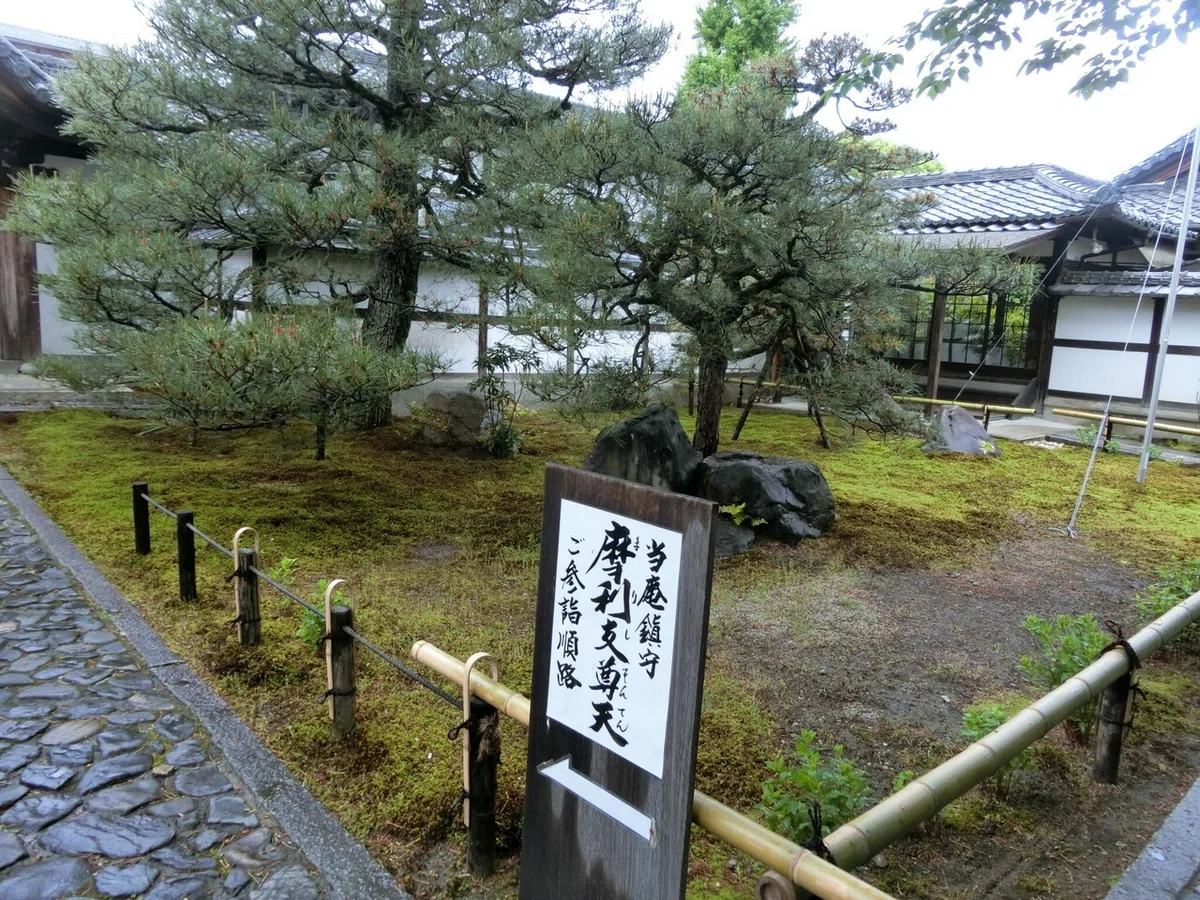画像9