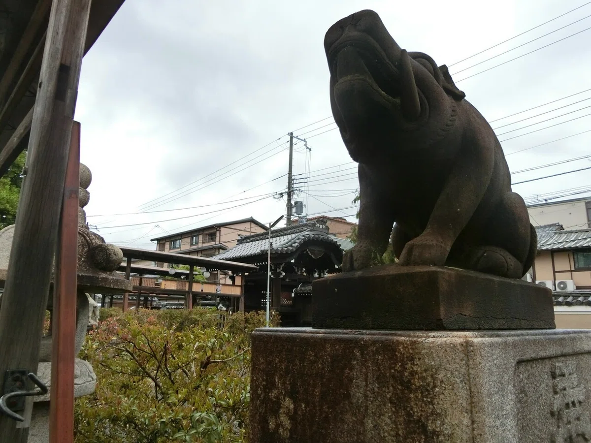 画像12