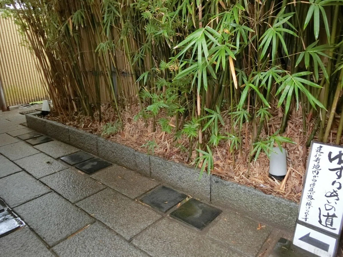 画像13