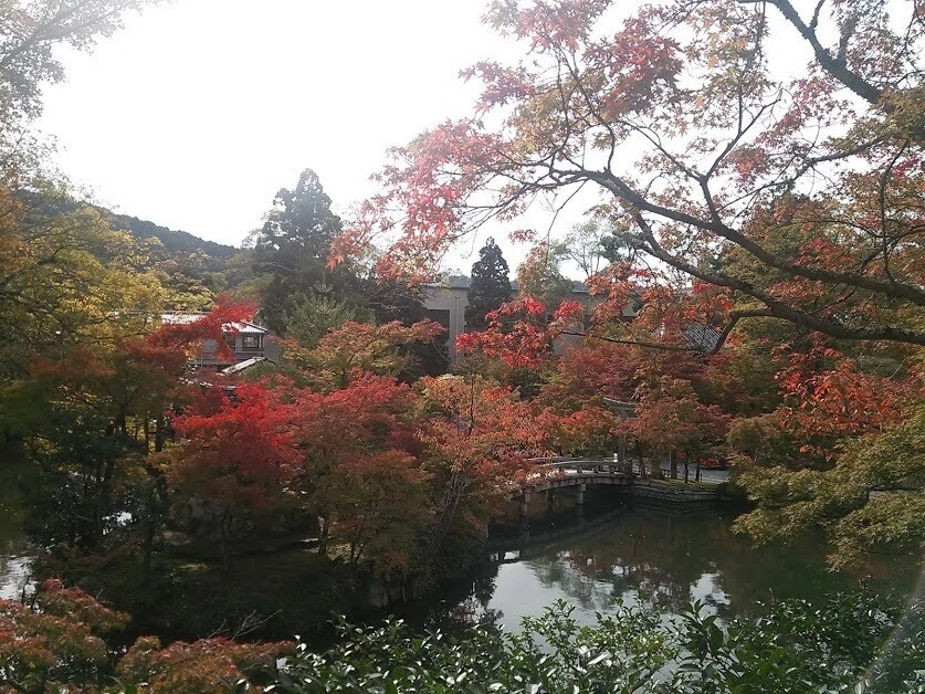 画像21