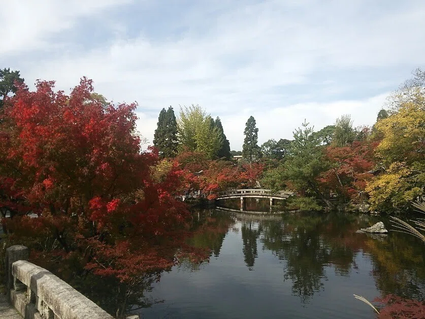 画像22