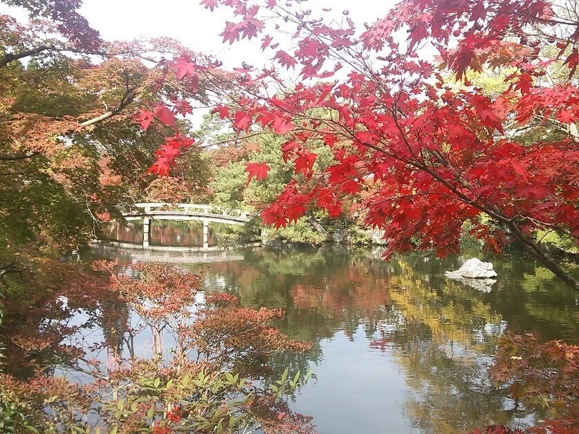 画像23