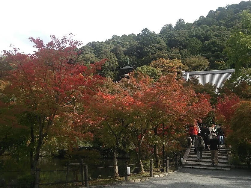 画像24
