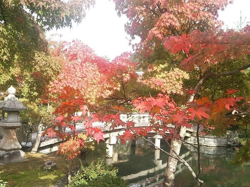 画像25