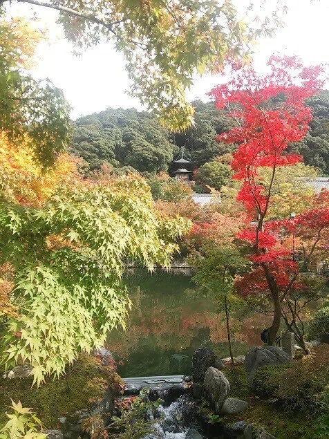 画像27