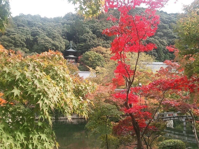 画像28