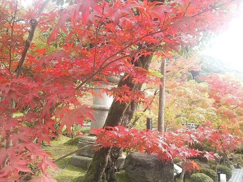 画像29