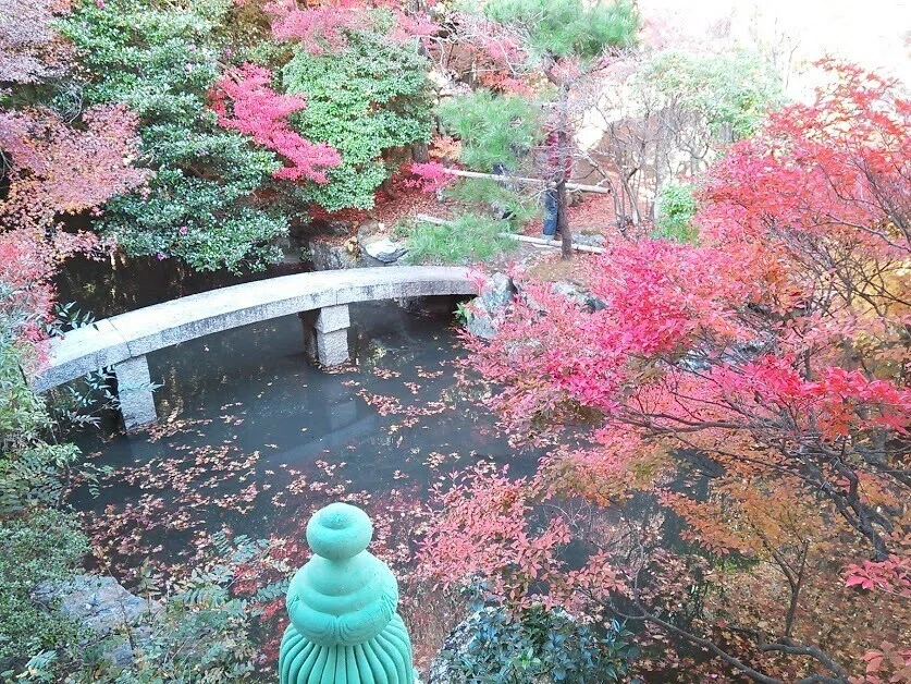 画像14