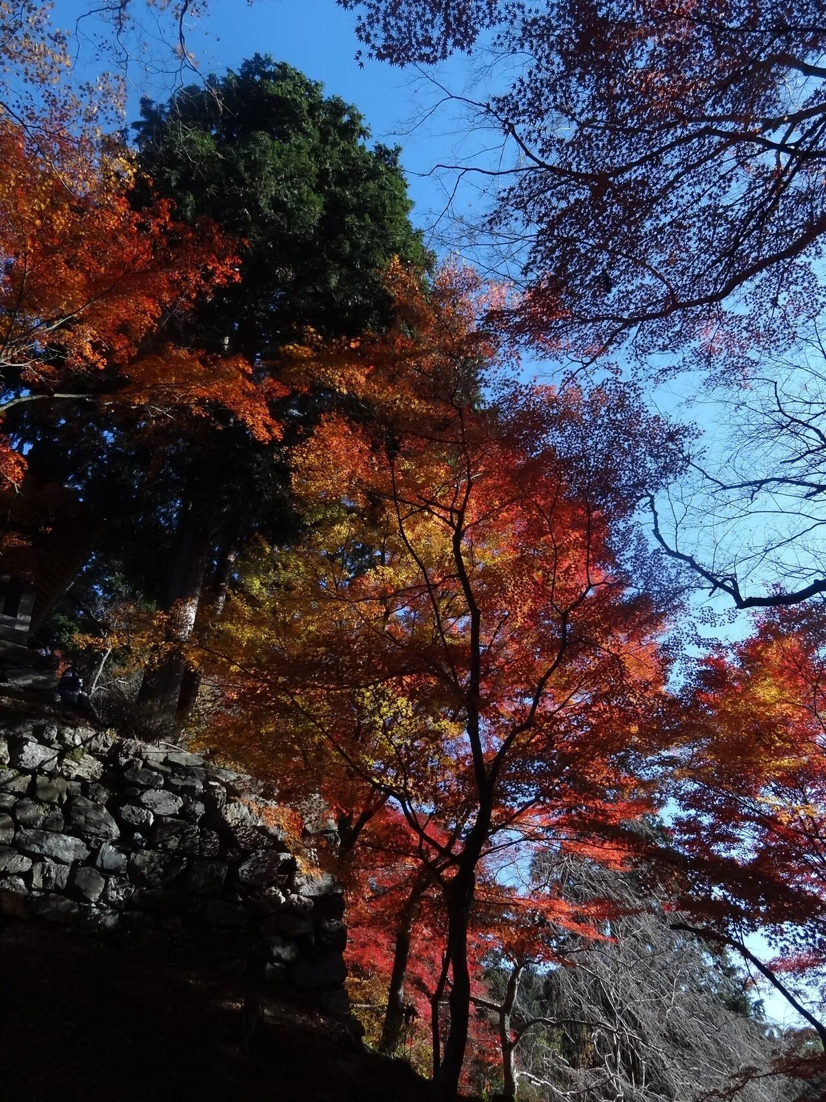 画像19