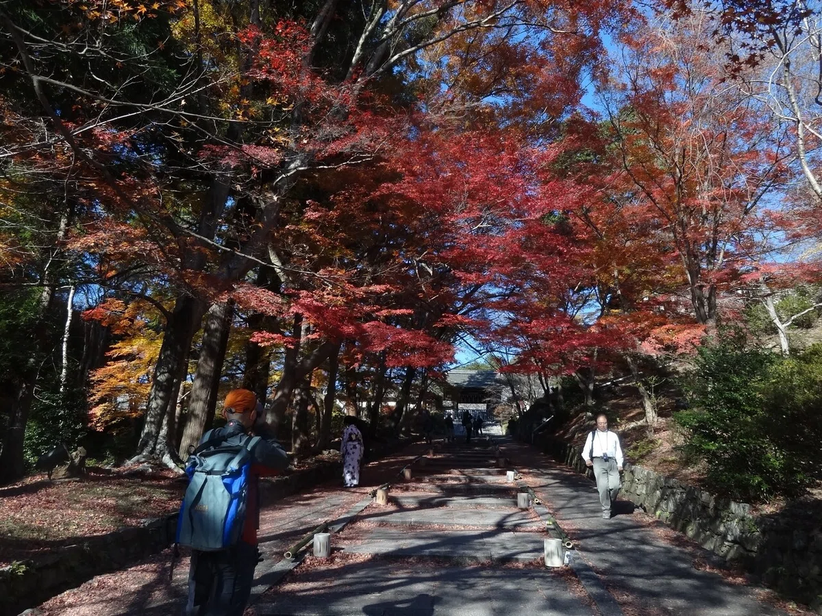 画像20