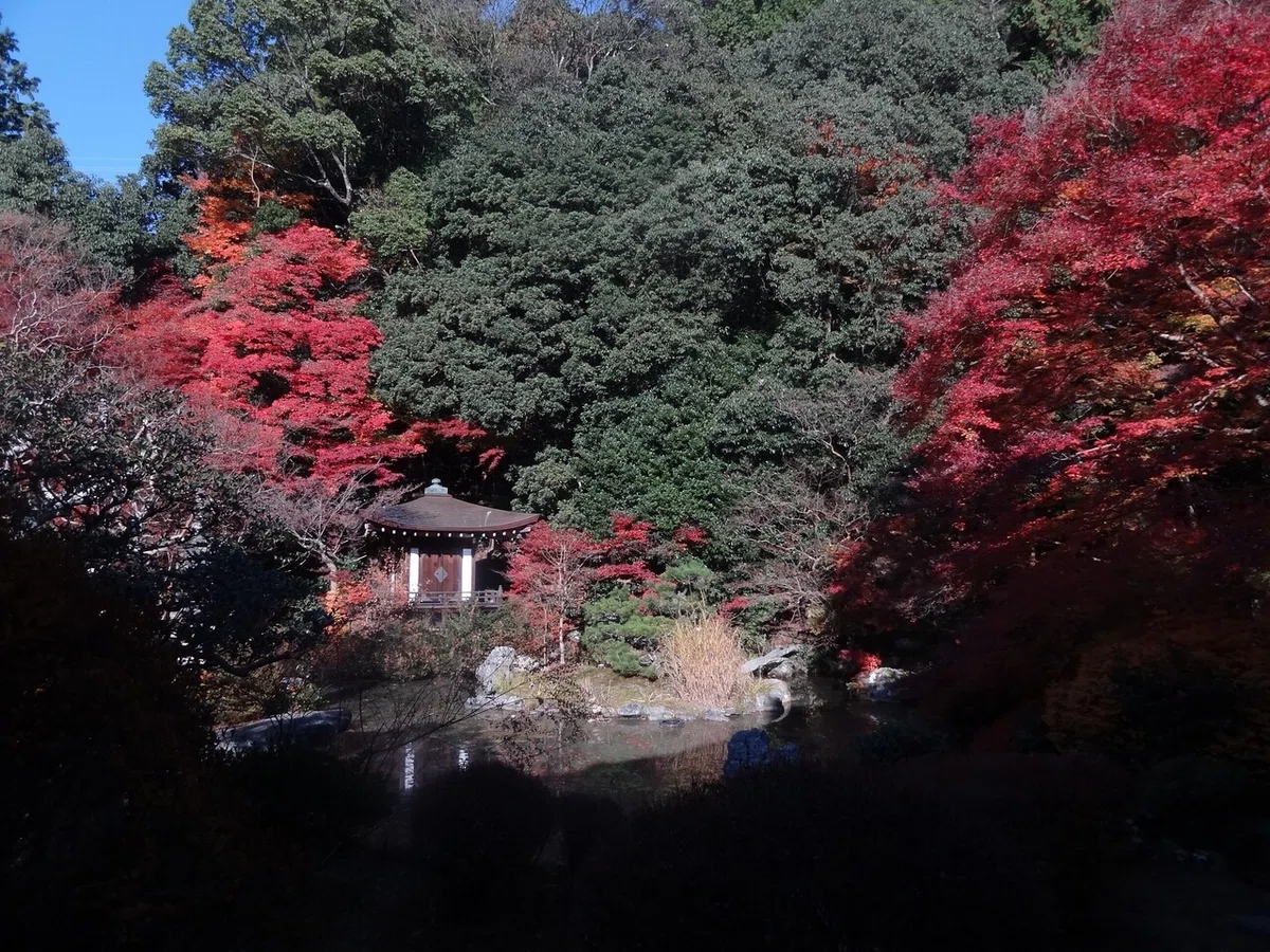 画像22