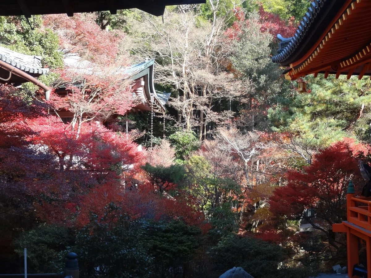 画像23