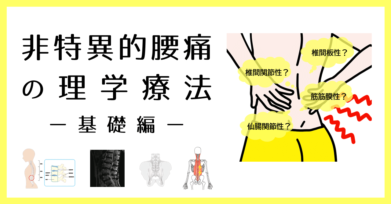 非特異的腰痛の理学療法ー基礎編ー｜理学療法士による臨床のためのnote
