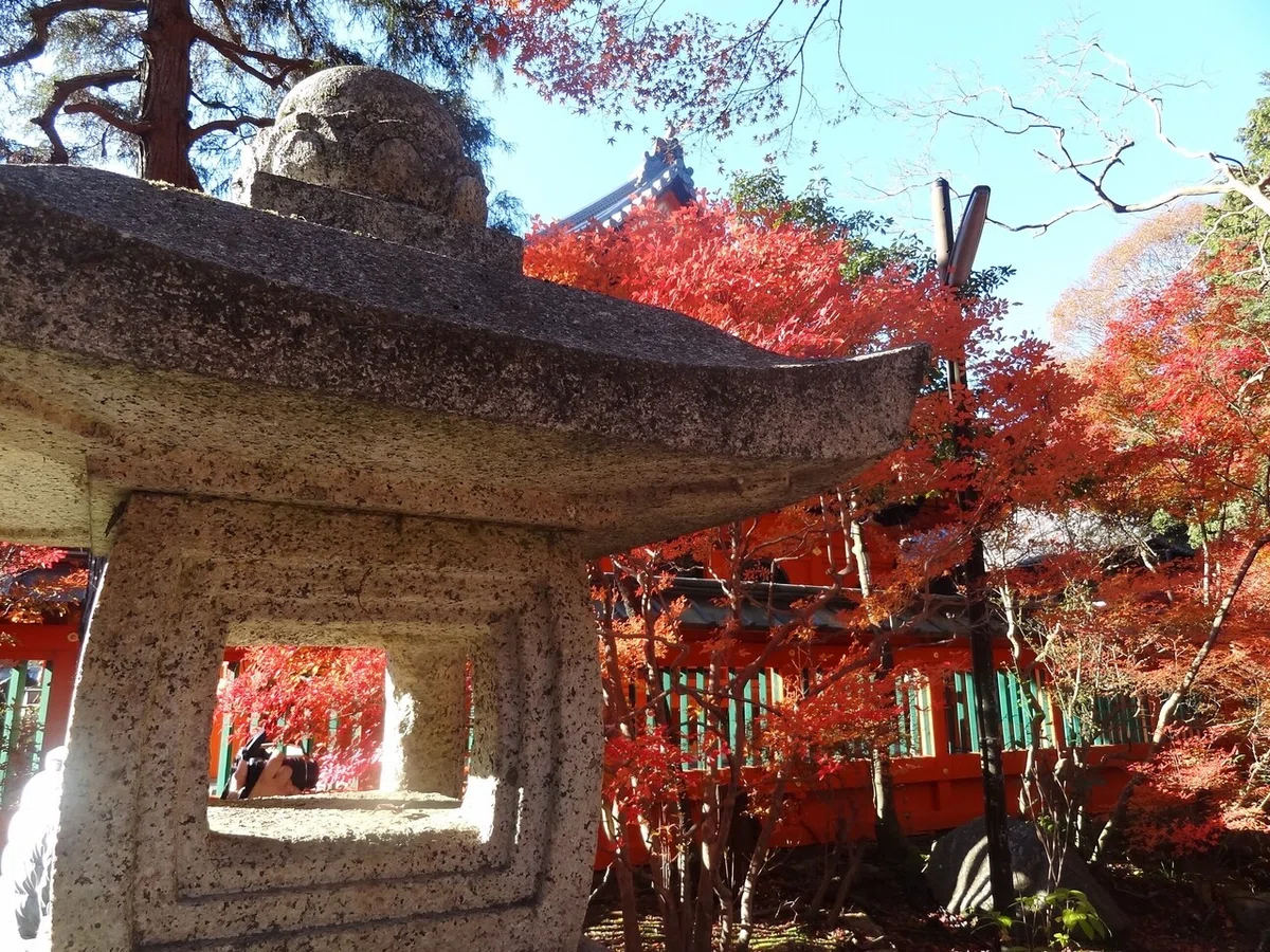 画像25